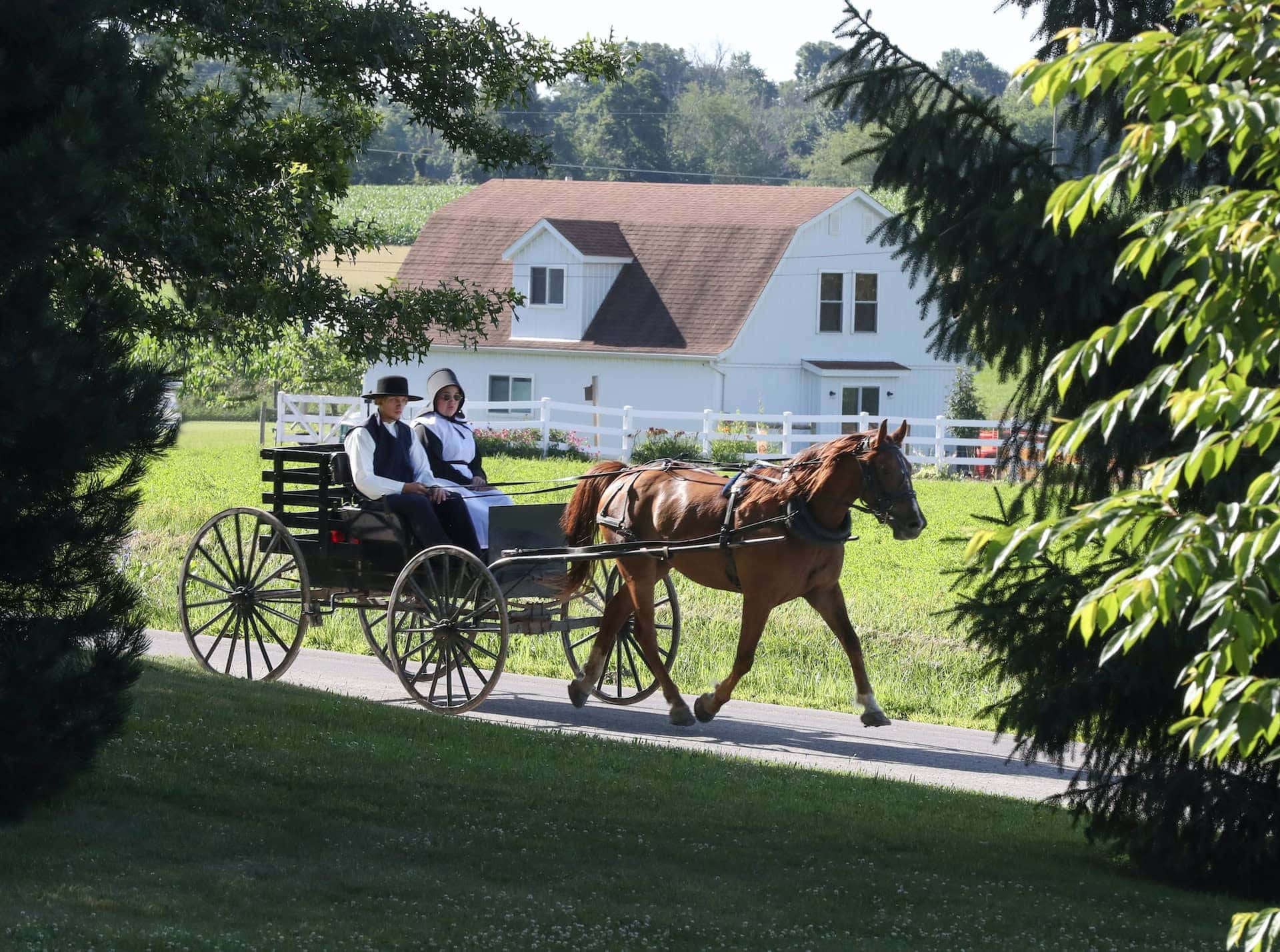 5 pueblos amish que no te puedes perder en tus vacaciones por EEUU