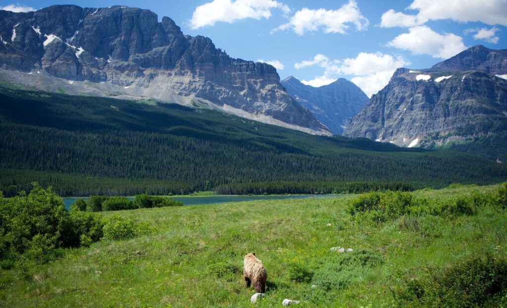 Disfruta de un sinfín de actividades en el Glacier National Park