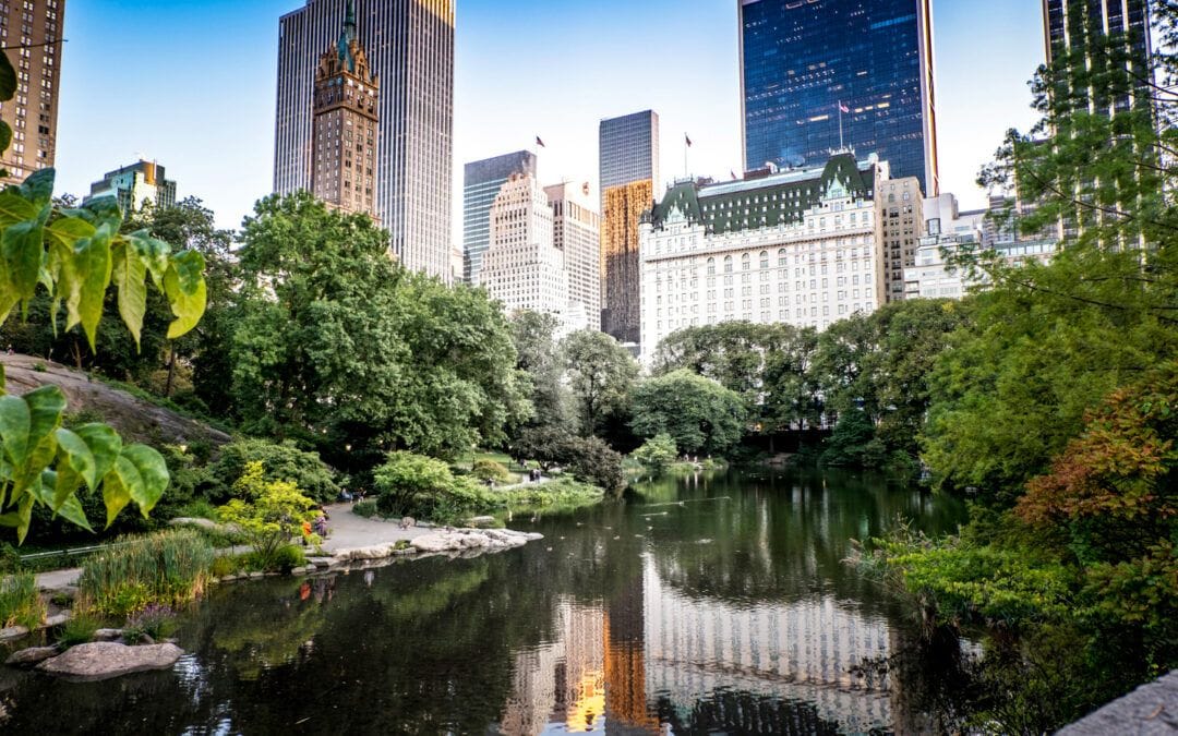 El Central Park de Nueva York: Un oasis en medio de la metrópolis