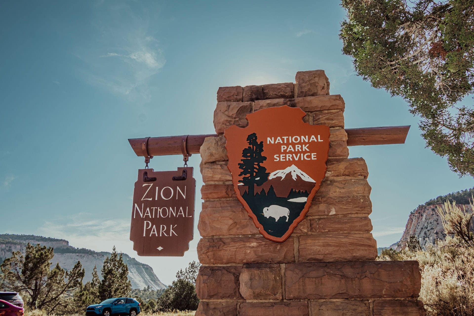 Vida salvaje en Zion National Park, descubre la diversidad biológica